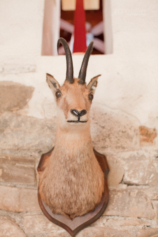 ©Ingrid Lepan Photographe - seance apres le mariage a la montagne - La mariee aux pieds nus  -15