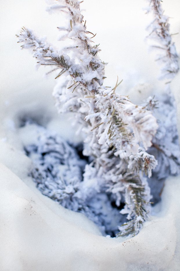 ©Ingrid Lepan Photographe - seance apres le mariage a la montagne - La mariee aux pieds nus  -16