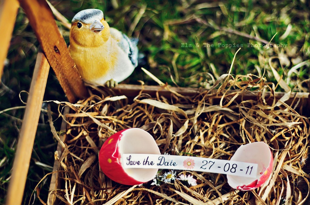 Ela-and-the-poppies-photography-la-mariee-aux-pieds-nus-seance-engagement