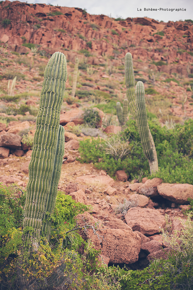 ©La Boheme Photographie - Seance engagement dans le desert - La mariee aux pieds nus