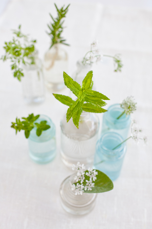 fleurs-menthe-la-mariee-aux-pieds-nus