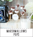 Do-It-Yourself-La mariee aux pieds nus-marshmallows pops