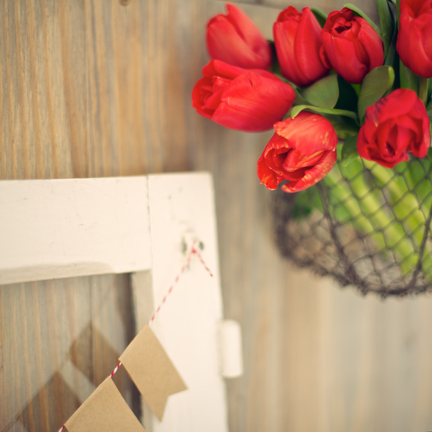 blog-mariage-la-mariee-ax-pieds-nus-photographe-lovely-pics-charlotte-fraises-rhubarbe ©Lovely Pics / pique nique en vichy rouge