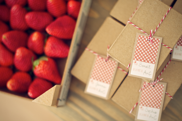 blog-mariage-la-mariee-ax-pieds-nus-photographe-lovely-pics-charlotte-fraises-rhubarbe ©Lovely Pics / pique nique en vichy rouge