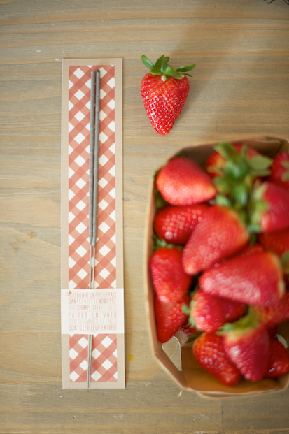 blog-mariage-la-mariee-ax-pieds-nus-photographe-lovely-pics-charlotte-fraises-rhubarbe ©Lovely Pics / pique nique en vichy rouge
