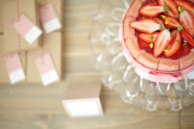 blog-mariage-la-mariee-ax-pieds-nus-photographe-lovely-pics-charlotte-fraises-rhubarbe ©Lovely Pics / pique nique en vichy rouge
