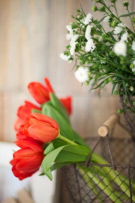 ©Lovely Pics / pique nique en vichy rouge