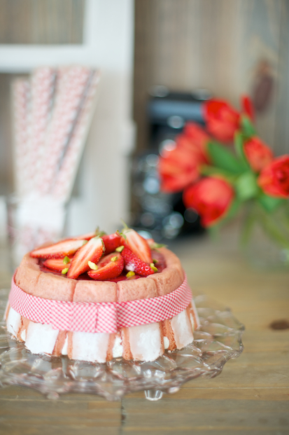 blog-mariage-la-mariee-ax-pieds-nus-photographe-lovely-pics-charlotte-fraises-rhubarbe ©Lovely Pics / pique nique en vichy rouge