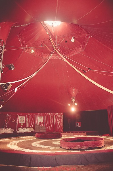 vrai-mariage-angelique-cacioppi-la-mariee-aux-pieds-nus-mariage-theme-cirque