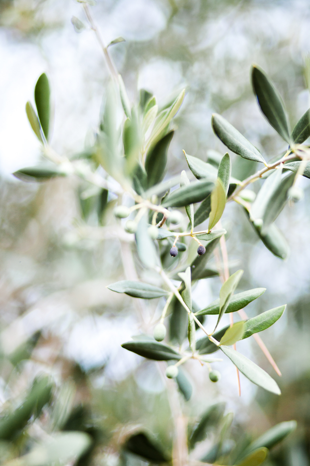 ©M&J Photography - mariage en Toscane - La mariee aux pieds nus