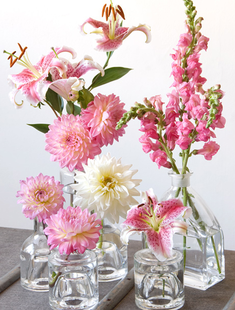 veres et fleurs