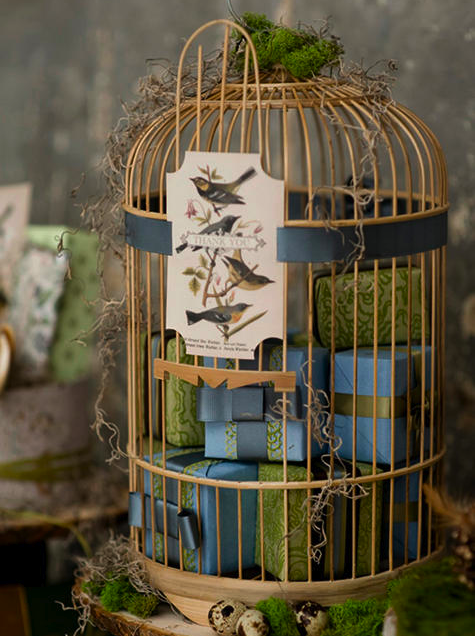 oiseaux