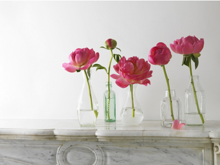 pivoines-bouteilles