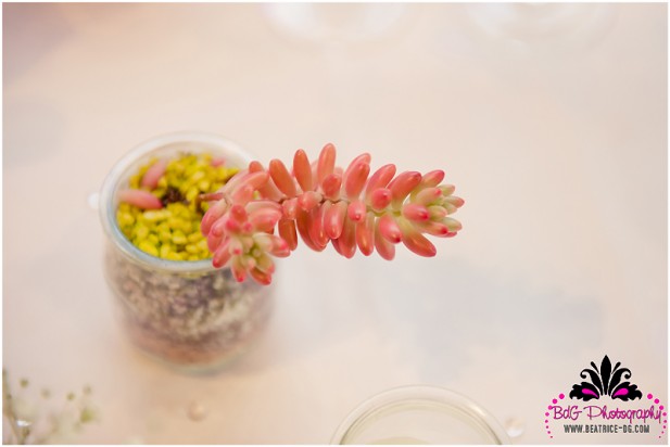 blog-mariage-la-mariee-aux-pieds-nus-mariage-la-catrache-beatrice-de-guigne