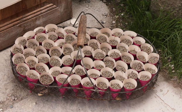 vrai-mariage-aux-petits-bonheurs-photography-la-mariee-aux-pieds-nus