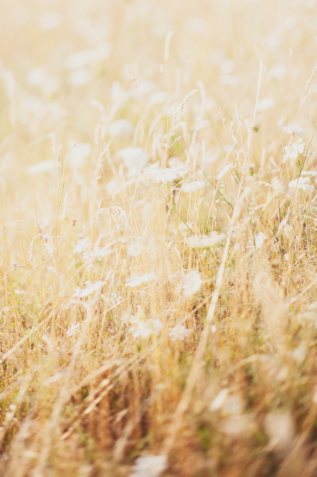marionhphotography-after-the-day-madiran-41