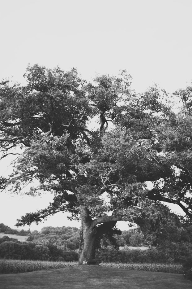 marionhphotography-after-the-day-madiran-47