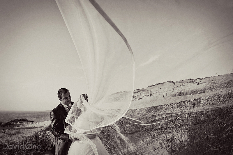 Mariage Alice & David, Davidone