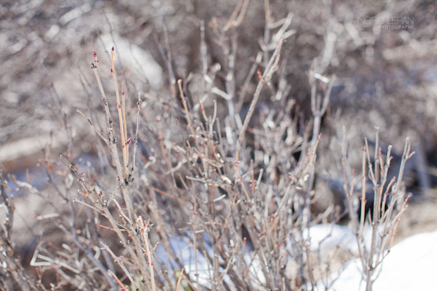 ©Ingrid Lepan Photographe - seance apres le mariage a la montagne - La mariee aux pieds nus  -66