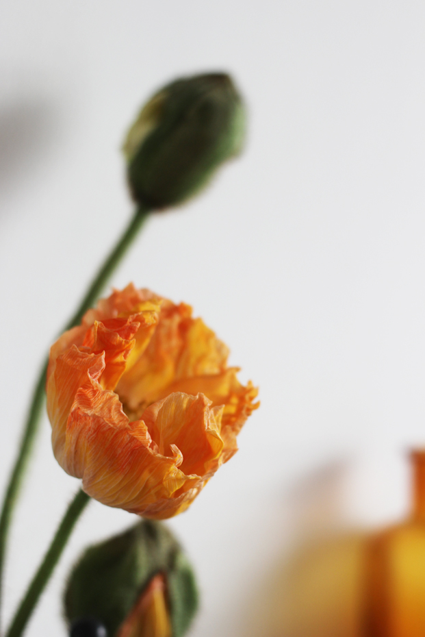 ©La mariee aux pieds nus - Un livre d or avec des post it - Pepper and Joy 3