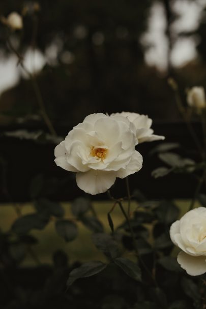 Un mariage à Auckland - Danelle Bohane - La mariée aux pieds nus