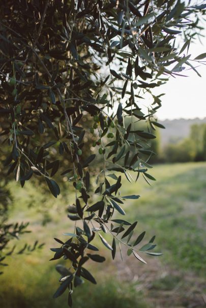 Un mariage végétal en Italie - Photos : Margherita Calati - Blog mariage : La mariee aux pieds nus