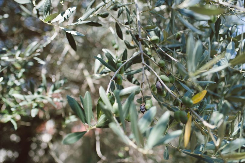 Un mariage végétal en Italie - Photos : Margherita Calati - Blog mariage : La mariée aux pieds nus