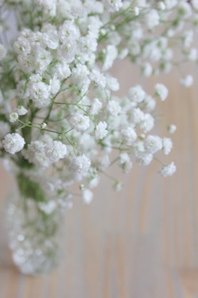 Gypsophile