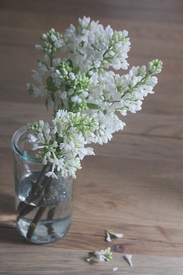 Calendrier des fleurs - la mariee aux pieds nus