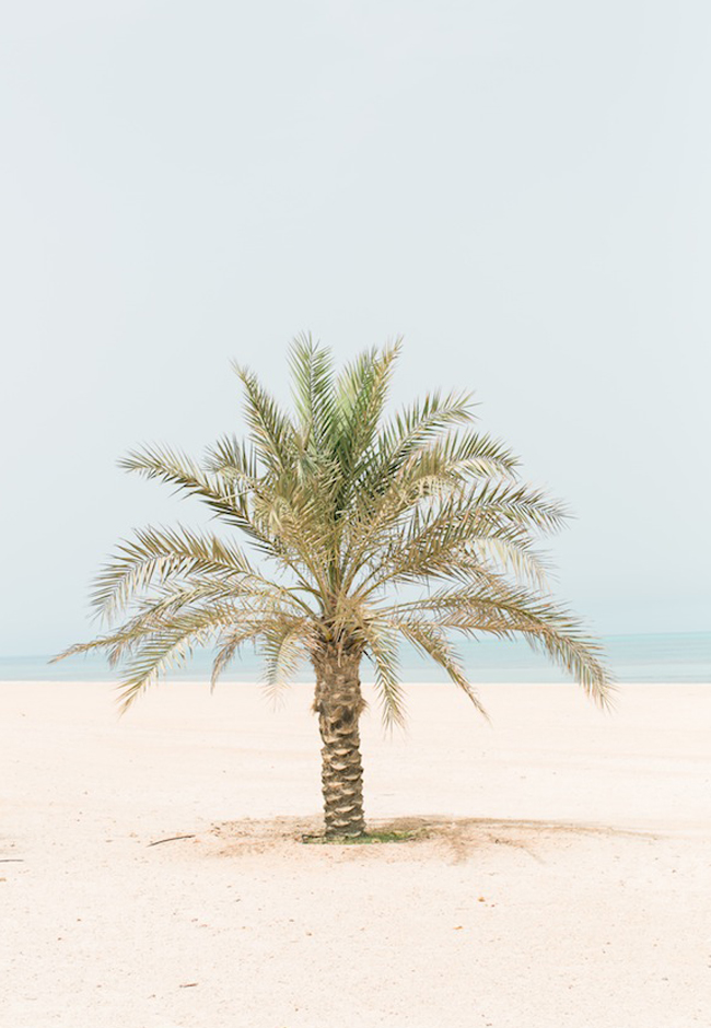 A la découverte de l'île de Sir Bani Yas à Abu Dhabi - La mariee aux pieds nus - Photo : Laila Riad