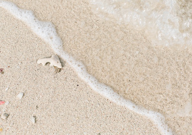 A la découverte de l'île de Sir Bani Yas à Abu Dhabi - La mariee aux pieds nus - Photo : Laila Riad