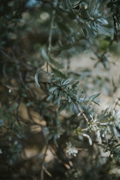 Un mariage champêtre en vert en Provence - A découvrir sur le blog mariage La mariée aux pieds nus - Photos : NeuPap Photography