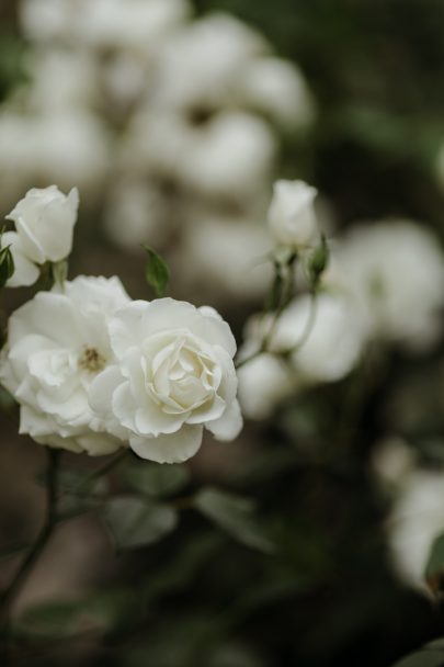 Un mariage simple en Bretagne - Photos : Capyture - Blog mariage : La mariée aux pieds nus.