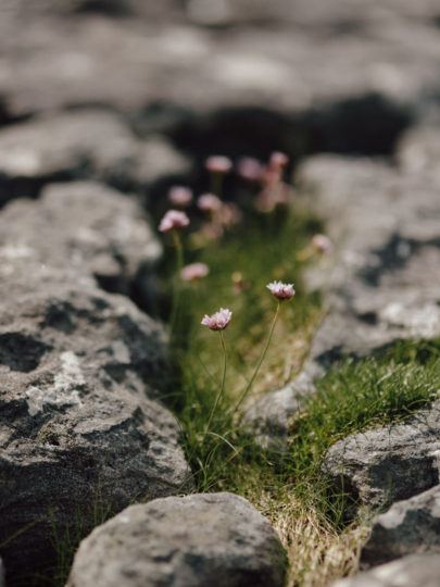 Un mariage en toute intimité sur l'ile de Skye en ecosse - a découvrir sur le blog mariage www.lamarieeauxpiedsnus.com - Photos : Capyture