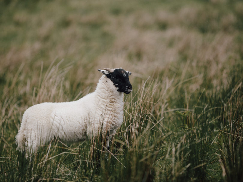 Un mariage en toute intimité sur l'ile de Skye en ecosse - a découvrir sur le blog mariage www.lamarieeauxpiedsnus.com - Photos : Capyture