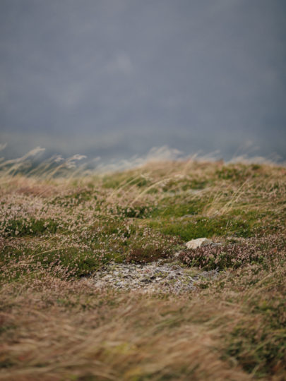 Une séance photo de couple dans la nature en Alsace - A découvrir sur le blog mariage www.lamarieeauxpiedsnus.com - Photos : Capyture