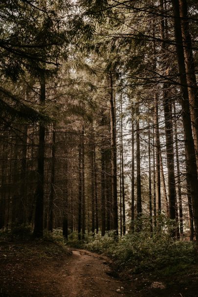 Un elopement en forêt - Photos : Klem Photographie - Décoration : Majenia - Blog mariage : La mariée aux pieds nus