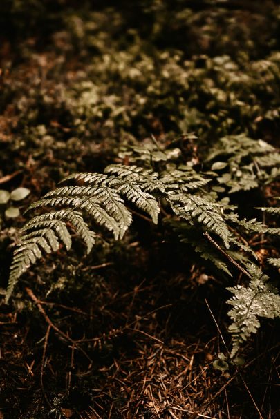 Un elopement en forêt - Photos : Klem Photographie - Décoration : Majenia - Blog mariage : La mariée aux pieds nus