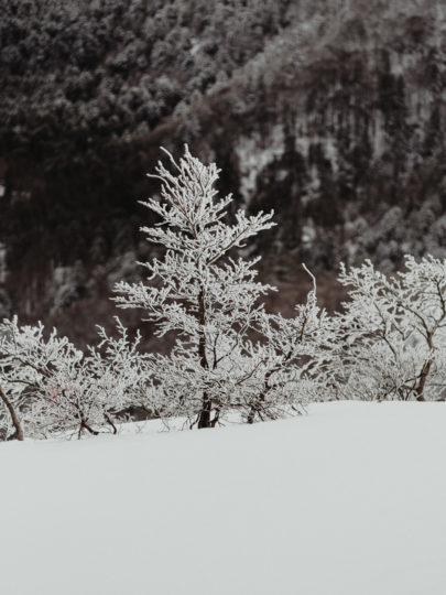 Une seance photo en amoureux sous la neige en Alsace - A découvrir sur le blog mariage www.lamarieeauxpiedsnus.com - Photos : Capyture