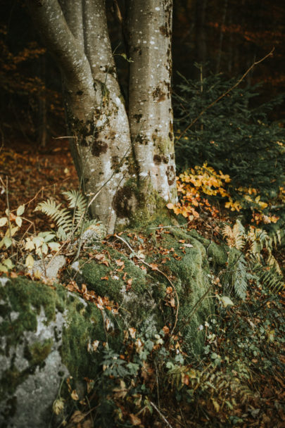 Une séance photo en amoureux après le mariage à Chamonix - A découvrir sur le blog mariage www.lamarieeauxpiedsnus.com - Photos : Coralie Lescieux