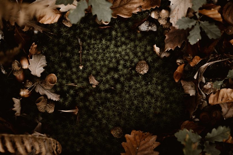 Une séance engagement en automne - Photos : Margaux Madeleine - Blog mariage : La mariée aux pieds nus