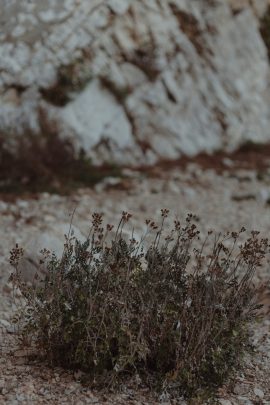 Atelier Histoires et détails - Une séance engagement au bord de la mer au petit matin - Photos : Capyture - Blog mariage : La mariée aux pieds nus