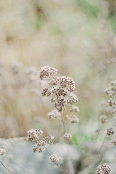 Un mariage pastel et organique - Inspiration - A découvrir sur le blog www.lamarieeauxpiedsnus.com - Photos : Petra Veikkola