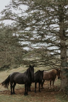 Un mariage simple et champêtre à la Grange C au Québec - Photos : Bianca des Jardins - Blog mariage : La mariée aux pieds nus