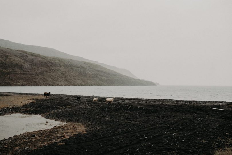 Un elopement en Islande - Photos et Video : The Quirky - Blog mariage : La mariée aux pieds nus