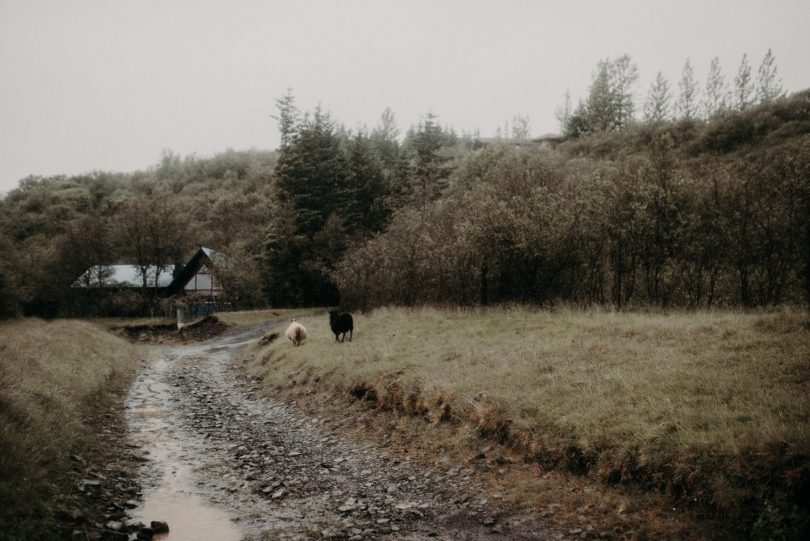 Un elopement en Islande - Photos et Video : The Quirky - Blog mariage : La mariée aux pieds nus