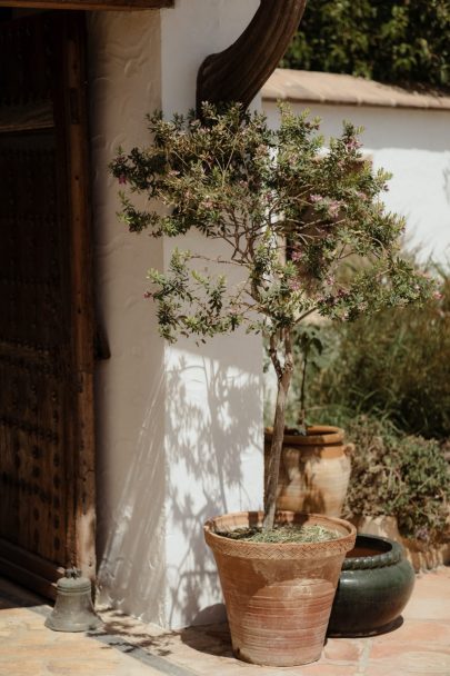 Un mariage végétal à Malaga en Andalousie - Photos : Capyture - A découvrir sur le blog mariage La mariée aux pieds nus