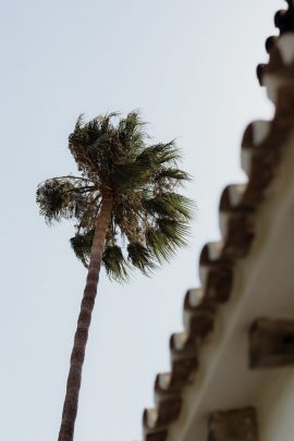 Un mariage végétal à Malaga en Andalousie - Photos : Capyture - A découvrir sur le blog mariage La mariée aux pieds nus