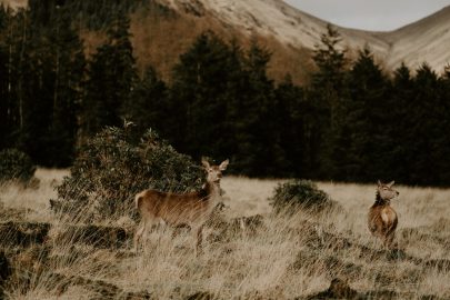 Une séance engagement en Ecosse - Photographe : Dorothée Buteau - Blog mariage : La mariée aux pieds nus