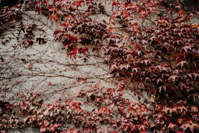 Un mariage en Auvergne aux Gites du Berger en Automne - Photos et Vidéo : The Quirky - Blog mariage : La mariée aux pieds nus